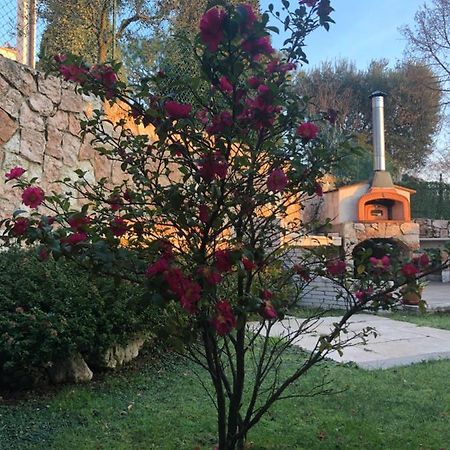 B&B Damiano Crespano del Grappa Экстерьер фото