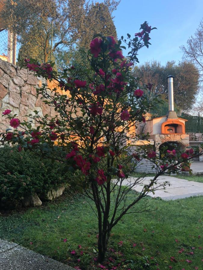 B&B Damiano Crespano del Grappa Экстерьер фото
